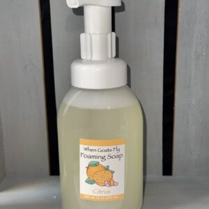 Citrus Foaming Hand Soap 12 oz