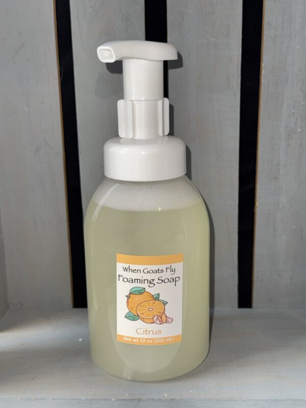 Citrus Foaming Hand Soap 12 oz