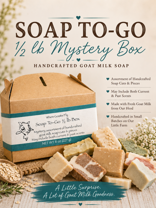 Soap to-go Mystery Box
